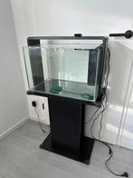 Superfish home 60 compleet met onderkast, Ophalen, Gebruikt, Leeg aquarium