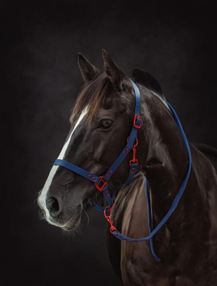 4 unieke, gafe halsters maat full, Dieren en Toebehoren, Paarden en Pony's | Hoofdstellen en Tuigage, Zo goed als nieuw, Ophalen of Verzenden