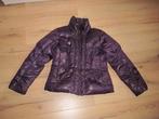 Korte winterjas EasyComfort maat 38, Kleding | Dames, Jassen | Winter, Maat 38/40 (M), Paars, Zo goed als nieuw, EasyComfort