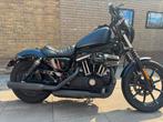 Harley Davidson Iron 2017 HD5, Motoren, Motoren | Harley-Davidson, Particulier, Chopper