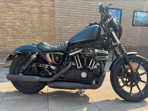 Harley Davidson Iron 2017 HD5, Motoren, Motoren | Harley-Davidson, Particulier, Chopper, Ophalen