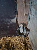 Mooi waterbakken voor ponies en paarden, Stalling, 4 paarden of pony's of meer