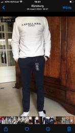 Cavallaro Chino Blauw Maat 31/32, Ophalen of Verzenden, Zo goed als nieuw, Overige maten, Blauw