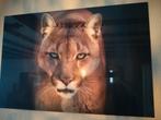 Mooi schilderij van glas 120cm x 80cm, Ophalen of Verzenden, Zo goed als nieuw
