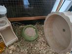 Hamsterscape, kooi, terrarium,  verblijf 80x35x40, Dieren en Toebehoren, Knaagdieren, Vrouwelijk, Hamster, Na 1 juli 2024, Tam