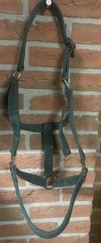 Gebruikte halsters, Dieren en Toebehoren, Paarden en Pony's | Hoofdstellen en Tuigage, Ophalen of Verzenden, Gebruikt, Overige soorten