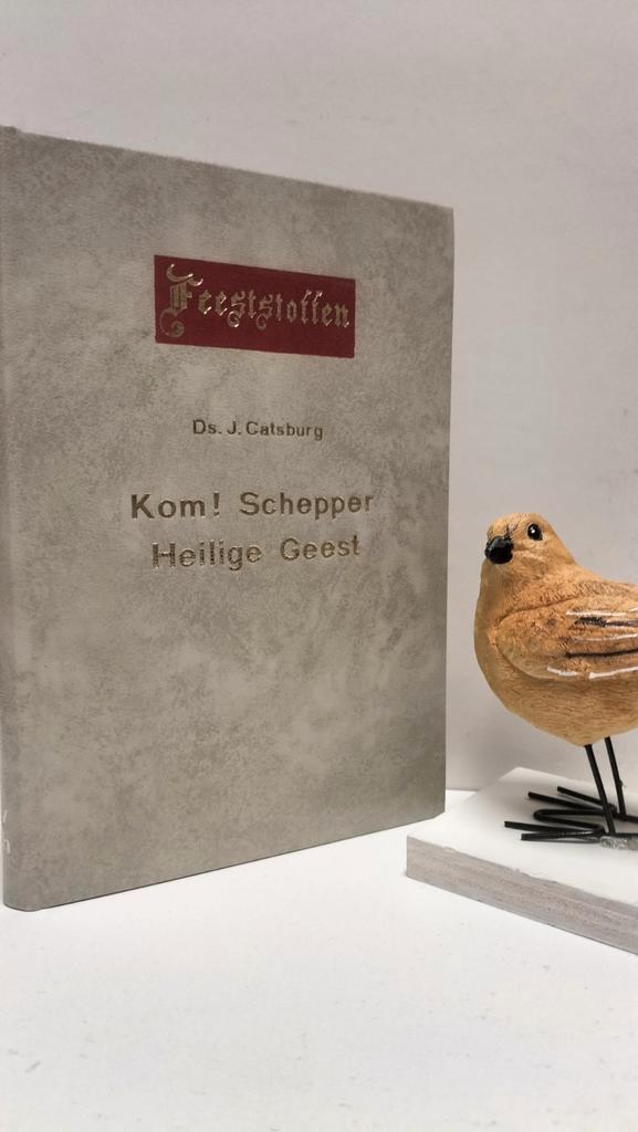 Catsburg, Ds. J.; Kom! Schepper Heilige Geest, Boeken, Godsdienst en Theologie, Gelezen, Christendom | Protestants, Ophalen of Verzenden