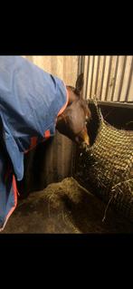 Zeldenrust hooinet, Dieren en Toebehoren, Ophalen of Verzenden, Zo goed als nieuw