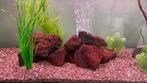 Aquarium Lavastenen, Ophalen, Gebruikt, Plant(en), Steen of Hout