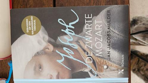 Jan Jacobs Mulder - Joseph, de zwarte Mozart, Boeken, Literatuur, Zo goed als nieuw, Nederland, Ophalen