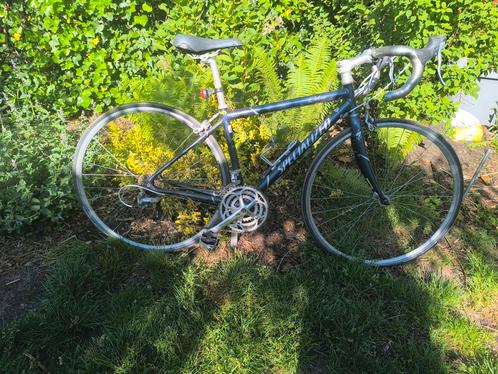 Racefiets Specialized Dolce Carbon. Framemaat.43cm, Fietsen en Brommers, Fietsen | Racefietsen, Zo goed als nieuw, Overige merken