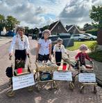 Loopgroep, optocht, 4 gouden rollators, Ophalen, Zo goed als nieuw