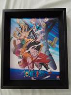 Manga Hologram Foto in Frame, Ophalen of Verzenden, Zo goed als nieuw, A1 t/m A3, Rechthoekig Staand