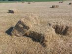 Hooi, Dieren en Toebehoren, Stalling en Weidegang