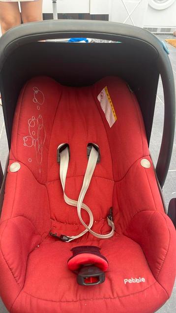 maxicosi baby’s beschikbaar voor biedingen