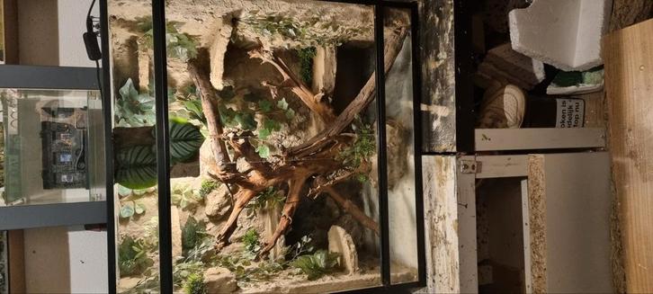 Terrarium 70x40x71, Dieren en Toebehoren, Reptielen en Amfibieën | Toebehoren, Nieuw, Ophalen