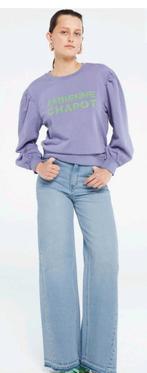 Fabienne Chapot Flo sweater/ trui maat L *nieuw *, Fabienne Chapot, Ophalen of Verzenden, Nieuw, Maat 42/44 (L)