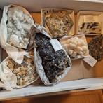 GRATIS mineralen en kristallen, Verzamelen, Mineralen en Fossielen, Ophalen, Mineraal