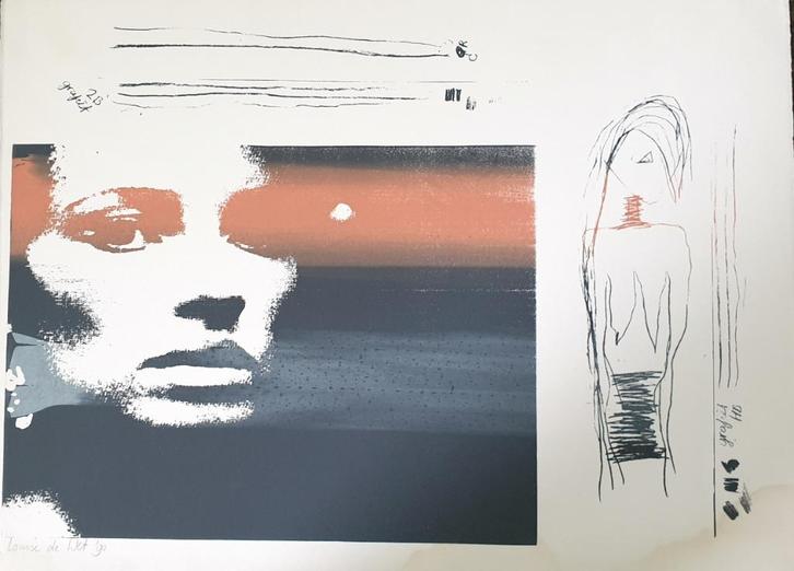 Exclusieve zeefdruk  4, Antiek en Kunst, Kunst | Litho's en Zeefdrukken, Ophalen