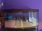 Groot aquarium gebruikt voor hamster, Dieren en Toebehoren, Minder dan 75 cm, Zo goed als nieuw, Hamster, Ophalen