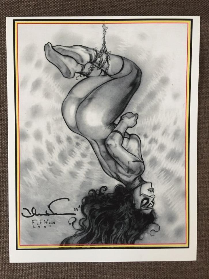 Artprent Spiderwoman sexy BDSM TOM FLEMING, Boeken, Stripboeken, Nieuw, Eén stripboek, Verzenden