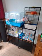 Hamsterkooi, 3 stuks met koppelbuisjes, kast en toebehoren, Ophalen, Kooi, Gebruikt, 60 tot 90 cm