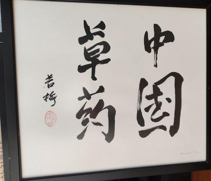 Chinese Kalligrafie "Chinese Kruiden", Antiek en Kunst, Kunst | Niet-Westerse kunst, Ophalen of Verzenden