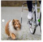 Honden fiets beugel, Ophalen of Verzenden, Gebruikt