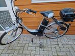 Born 2 ride electrische fiets, Ophalen, Gebruikt, Overige merken