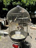 Prachtige vogelkooi met oosters tintje, Ophalen, Zo goed als nieuw, Metaal, Vogelkooi