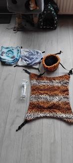 Hangmatjes voor ratten/muizen, Dieren en Toebehoren, Knaagdieren, September, Mannelijk, Rat