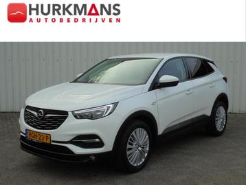 Opel Grandland X 1.2 TURBO 130PK EDITION ZEER NETJES EN LUXE beschikbaar voor biedingen