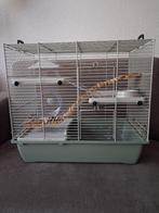 hamsterkooi, Kooi, Gebruikt, Minder dan 75 cm, Hamster