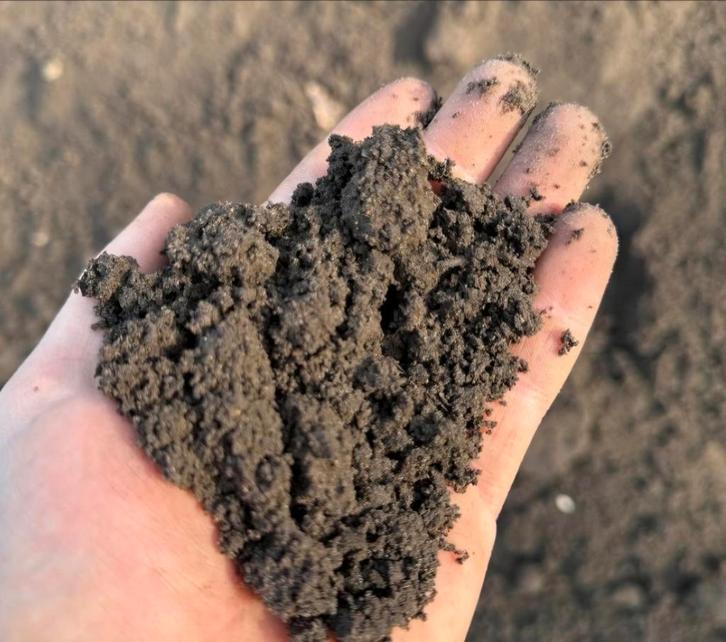 Aarde/zand/zwarte grond: Ophoogzand, Tuin en Terras, Zand, Gebruikt, Ophoogzand, Ophalen of Verzenden