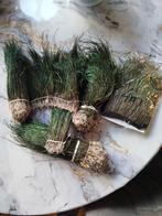 Pauwen fibers, Ophalen of Verzenden, Nieuw