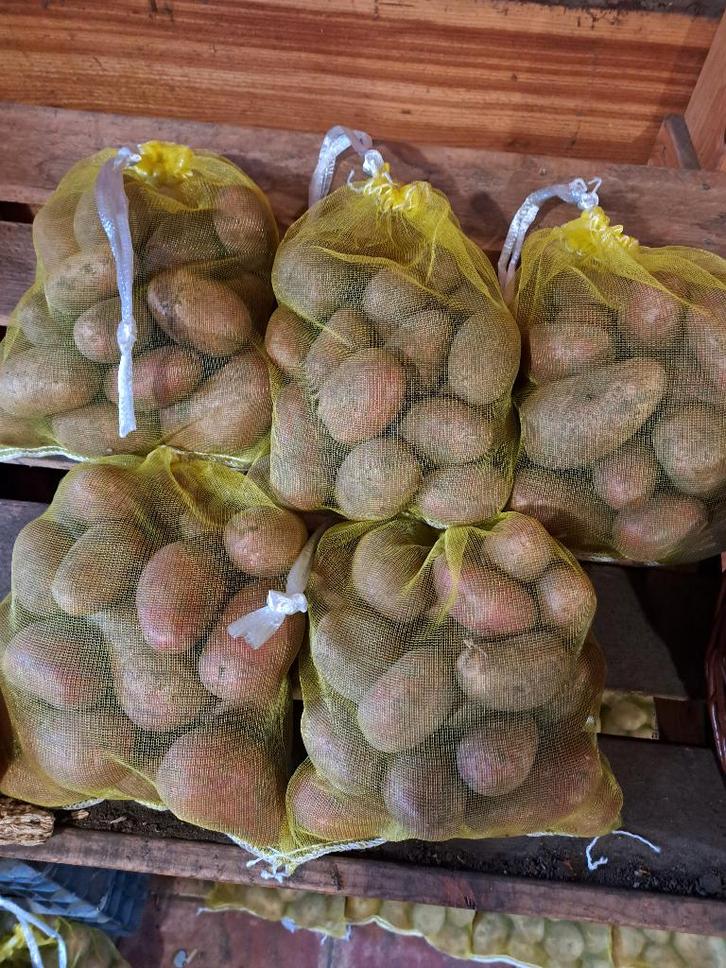 onbespoten surprise en alouette aardappelen te koop. 15, Diversen, Levensmiddelen, Ophalen