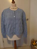 Peter Hahn. Prachtig nieuw licht blauw wollen vest., Kleding | Dames, Truien en Vesten, Blauw, Maat 42/44 (L), Nieuw, Ophalen of Verzenden