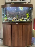 Juwel Aquarium 180 Liter, Dieren en Toebehoren, Vissen | Aquaria en Toebehoren, Ophalen, Gebruikt, Gevuld zoetwateraquarium