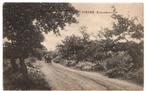 Gieten - Zwanemeer, Ophalen of Verzenden, Voor 1920, Ongelopen, Drenthe