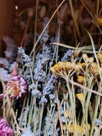 Droogbloemen, Ophalen, Nieuw