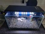 Sf home 30 NIEUWSTAAT, Ophalen, Zo goed als nieuw, Gevuld zoetwateraquarium