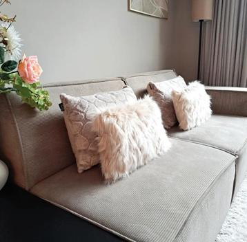 Dutch Decor beschikbaar voor biedingen