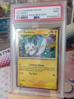Pokemon Pachirisu foil psa 9, Hobby en Vrije tijd, Verzamelkaartspellen | Pokémon, Ophalen of Verzenden, Zo goed als nieuw, Losse kaart
