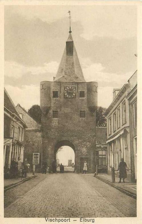 (380-419-009) Elburg Vischpoort, Verzamelen, Ansichtkaarten | Nederland, Gelderland, Verzenden