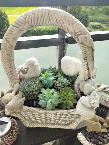 Betonnen  winterharde mand 55 cm hoog 36 cm breed 30 cm diep beschikbaar voor biedingen
