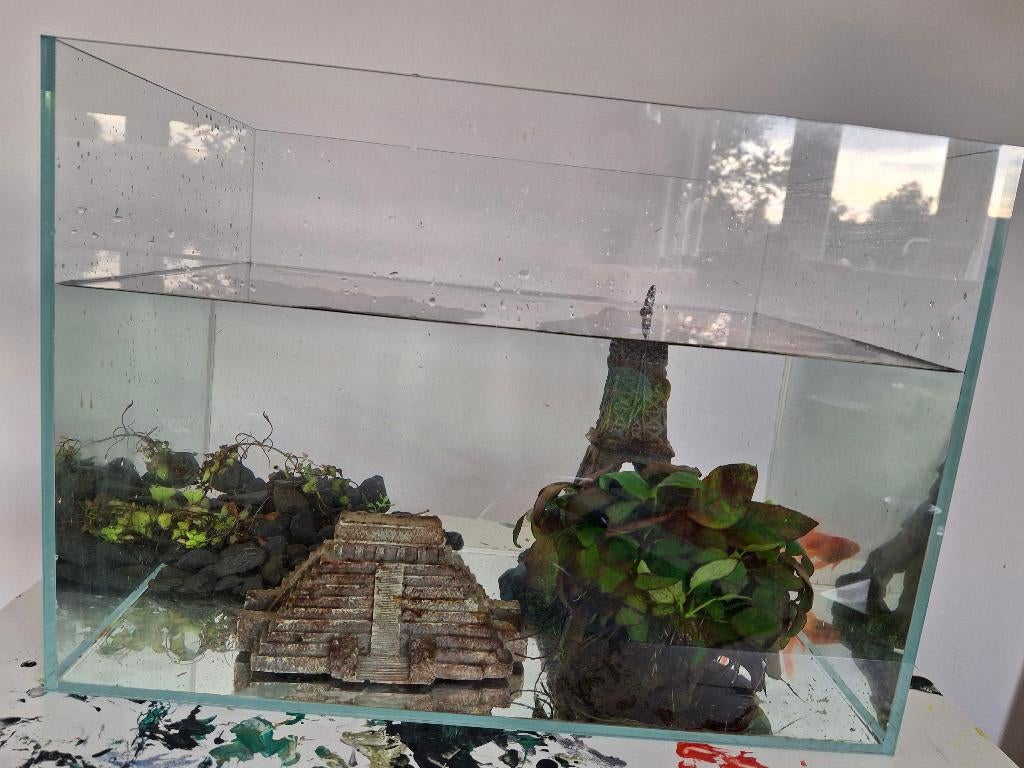 Aquarium, Vissen en Inrichting, Dieren en Toebehoren, Vissen | Aquaria en Toebehoren, Ophalen, Zo goed als nieuw