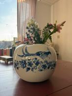 Royal Blue collection Appel, Ophalen