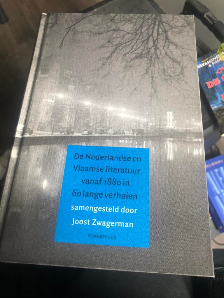 De Nederlandse en Vlaamse literatuur vanaf 1880., Boeken, Ophalen of Verzenden, Zo goed als nieuw