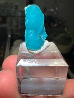 Hq Hemimoprhite, Ophalen of Verzenden