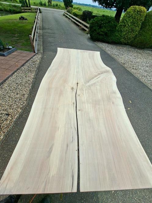 MOOI GROOT BOOMSTAM BLAD TAFELBLAD, Doe-het-zelf en Verbouw, Hout en Planken, Nieuw, Overige houtsoorten, Minder dan 200 cm, Ophalen